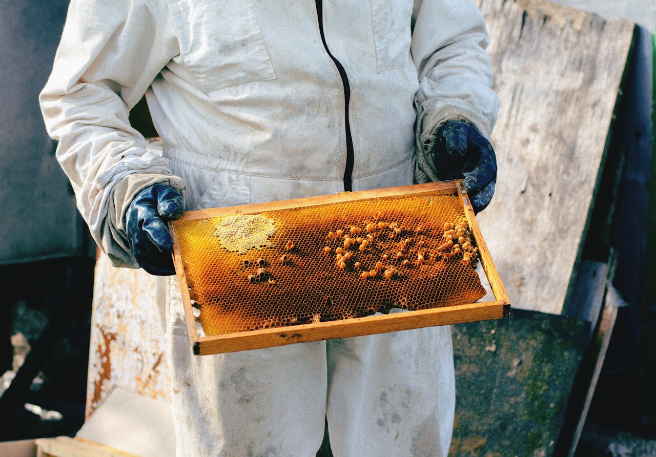 hero-img-01 Beekeeper in protective suit holding a honey-filled comb frame. Daylight outdoor setting.